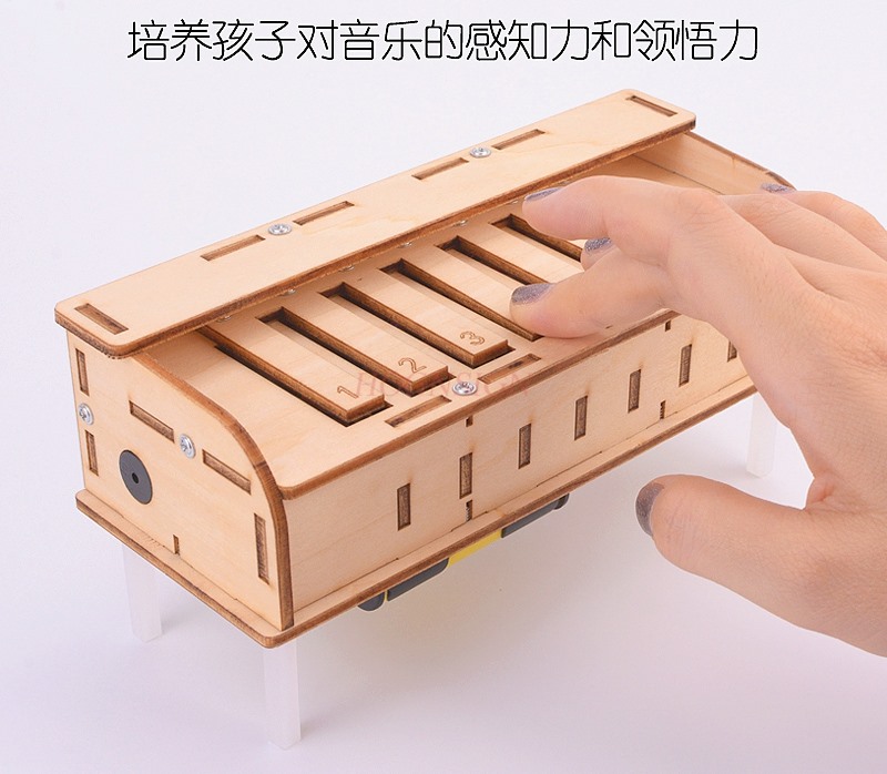 Science and technology small p - Homemade Diy Electronics recension och pris